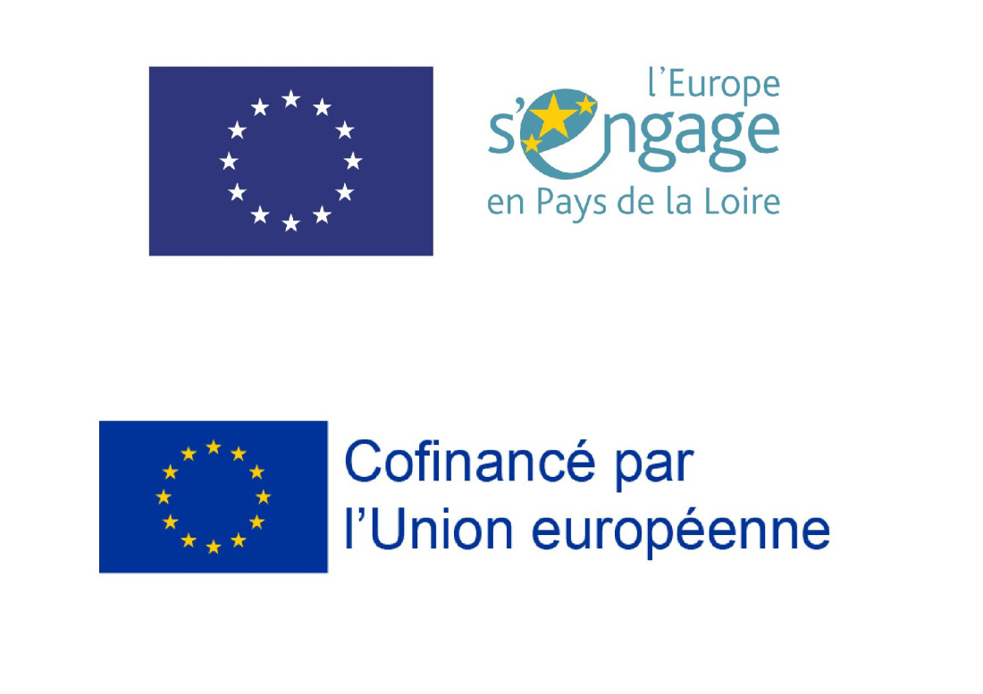 FSE: Fond Social Europ&eacute;en